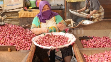 Seminggu Lagi Mendag Zulhas Janji Harga Bawang Merah Turun
