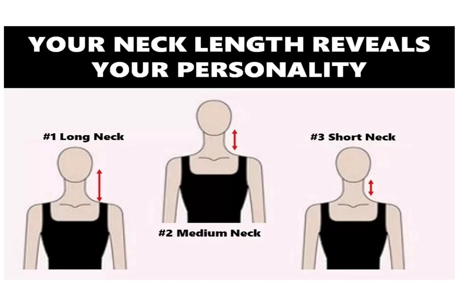 Tes Kepribadian: Panjang Leher Ungkap Sifat Tersembunyi Seseorang, Anda Termasuk yang Mana?