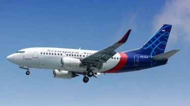 Sosok Pemilik Sriwijaya Air dan Sepak Terjangnya di Kasus Korupsi Timah Bareng Harvey Moeis Cs