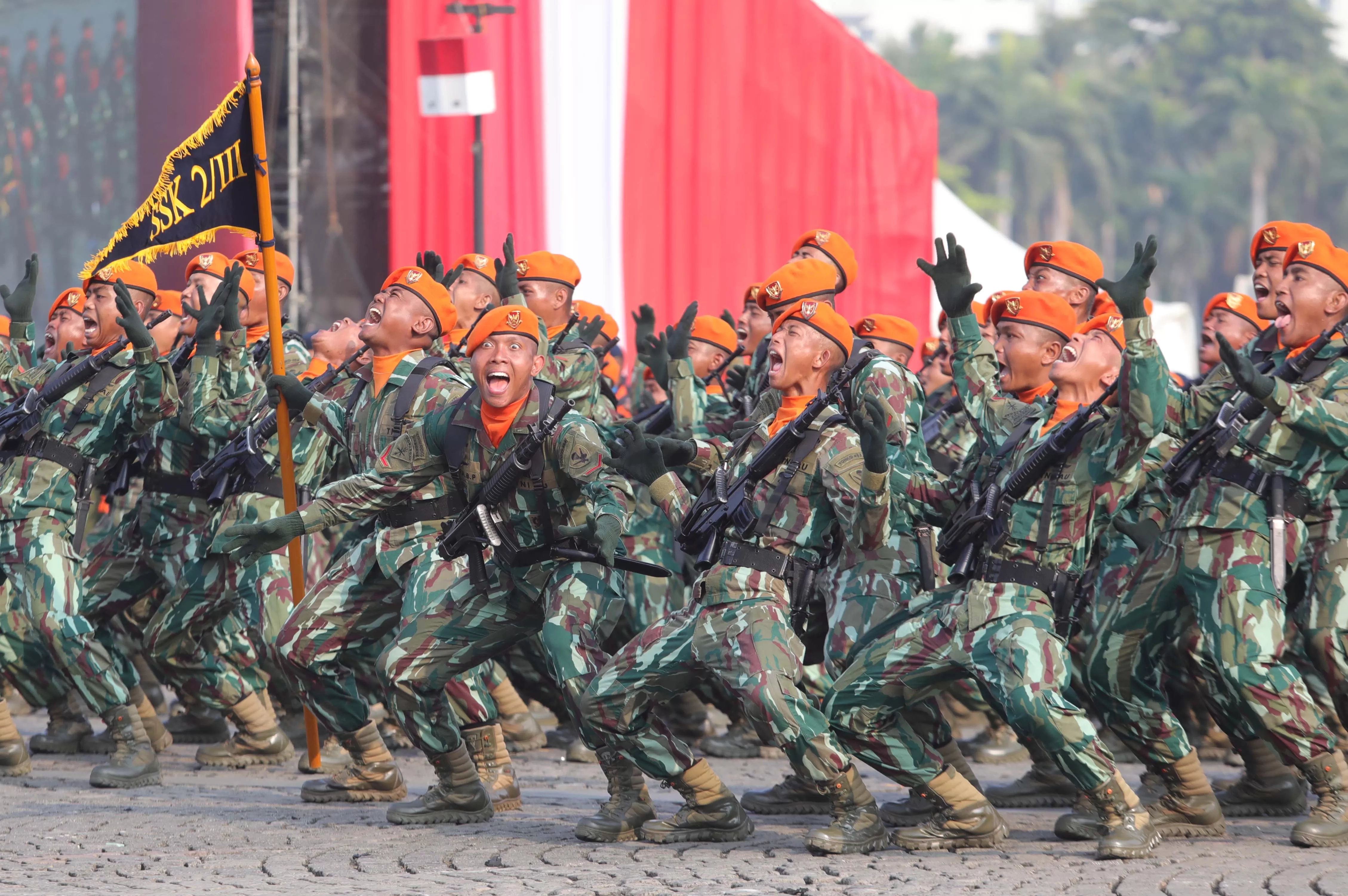TNI Turunkan 12.000 Personel untuk Mengamankan Kegiatan WWF di Bali