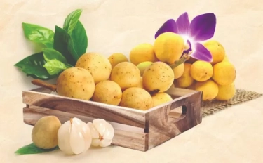 Kaya Akan Vitamin C, Ini 8 Manfaat Buah Langsat Mulai dari Atasi Sembelit hingga Kecantikan