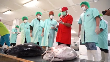 Dinilai Punya Potensi Besar, KKP Akan Tingkatkan Kualitas dan Jangkauan Pasar Tuna Indonesia