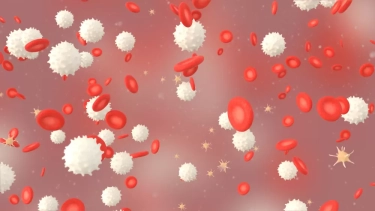 Bukan Hanya DBD, Berikut Penyebab Lain Turunnya Trombosit Mulai dari Obat-Obatan Hingga Gaya Hidup