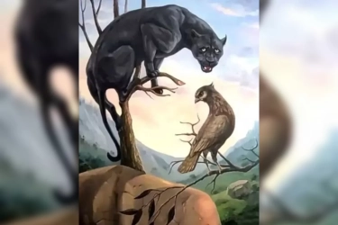 Tes Kepribadian: Jadi Pemimpin atau Diplomat? Cek Penjelasan Profesi yang Cocok Untukmu Melalui Gambar Ini