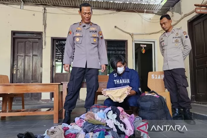 Curi 675 Celana Dalam Perempuan, Pedagang Siomay Ini Ngaku untuk Salurkan Hasrat Seksual
