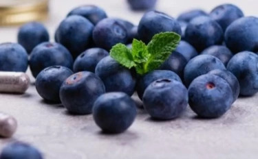 Jarang Dikonsumsi, Ternyata Buah Bilberry Kaya Akan Manfaat Menarik Bagi Kesehatan Lho