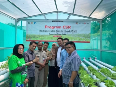 Dukungan Bank DKI Kembangkan Kebun Hidroponik untuk Ketahanan Pangan