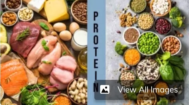 Protein Hewani Vs Protein Nabati: Mana yang Lebih Baik?