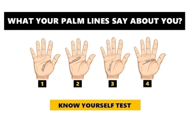 Tes Kepribadian: Garis Telapak Tangan Bongkar Sifat Tersembunyi Seseorang, Kamu Termasuk yang Mana