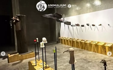 Intip Harga Tiket Animalium Cibinong dan Cara Belinya, Liburan Bersama Keluarga Tidak Harus Antri di Loket!