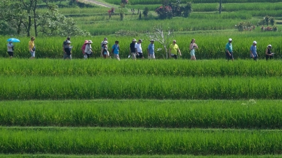 Berikut Beragam Side Event World Water Forum ke-10