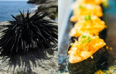 Simak, 4 Manfaat Bulu Babi yang Jarang Diketahui Banyak Orang, Salah Satunya Tingkatkan Gairah Seksual