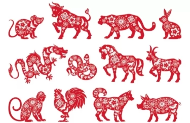 Si Paling Memesona! 4 Shio Perempuan Ini Paling Cantik dan Menjadikannya Sangat Indah untuk Dipandang