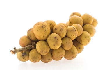 Banyak Khasiat! Ini Dia 5 Manfaat Buah Duku untuk Kesehatan Tubuh yang Jarang Diketahui Banyak Orang