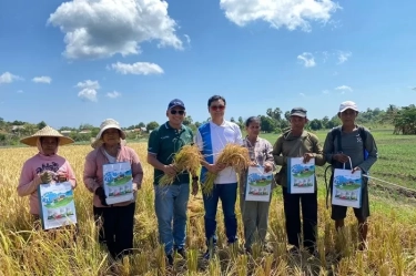 Inspirasi dari Kegigihan Petani Rote Hadapi Tantangan Alam demi Ketahanan Pangan