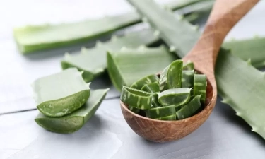 7 Manfaat Lidah Buaya Bagi Kesehatan Rambut, Mampu Hilangkan Ketombe Hingga Kembalikan Ph Kulit