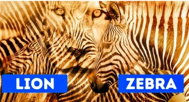 Gambar Pertama yang Anda Lihat Ini dapat Mengungkapkan Hal yang Paling Dirindukan, Jawab Jujur Ya!