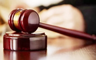 Pria di Korea Selatan Didenda karena Menghasut Anjing untuk Membunuh Kucing