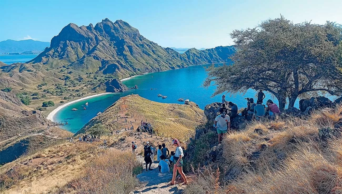 Bakar Lemak di Pulau Padar, Bersua Komodo, Ditutup Snorkeling di Pink Beach