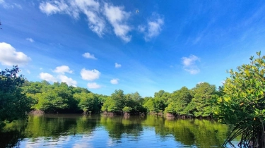 PLN IP Melalui UBP Bali Jadikan Mangrove untuk Tingkatkan Kesejahteraan Masyarakat di Sekitar Wilayah Pembangkit