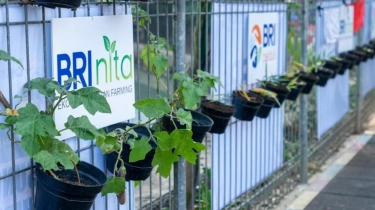 Lewat BRI Peduli - BRInita, Kelompok Dasawisma Pisang di Palembang Sulap TPS Liar Jadi Urban Farming Bernilai Ekonomis