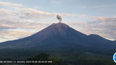 Gunung Semeru Mengamuk! Erupsi 8 Kali dalam Sehari dan Semburkan Abu Vulkanik