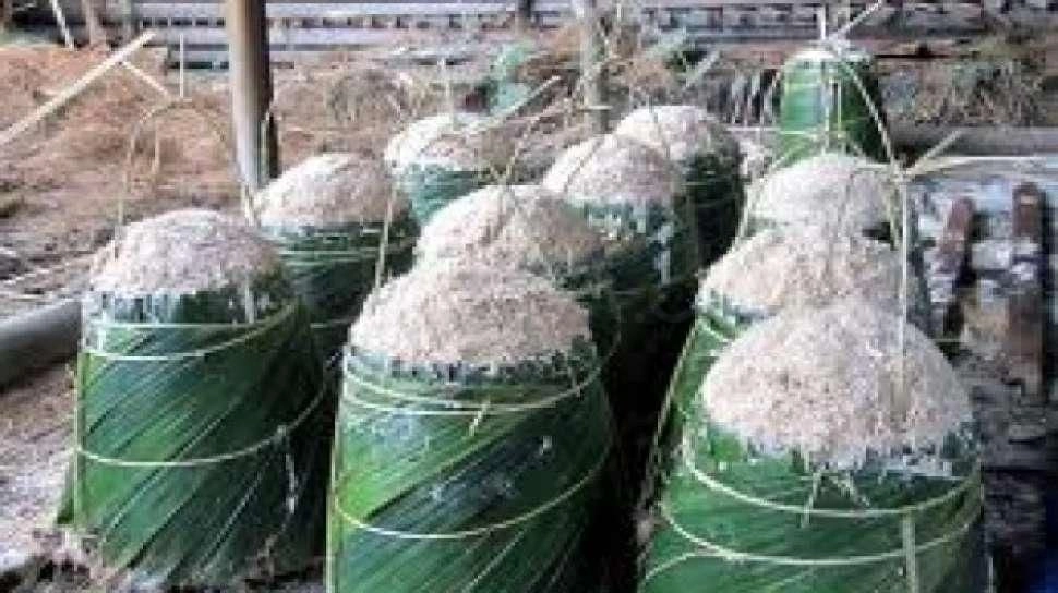 Ekowisata Hutan Sagu Ambon, Dukung Ekonomi Warga Sekaligus Ketahanan Pangan