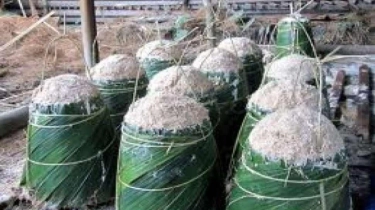 Ekowisata Hutan Sagu Ambon, Dukung Ekonomi Warga Sekaligus Ketahanan Pangan