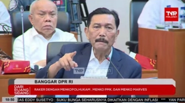 4 Sindiran Luhut soal Mundurnya Bambang Susantono dan Dhony Rahajoe: Bukan IKN yang Bermasalah, Tapi Pemimpinnya
