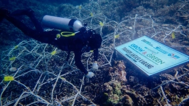 Hari Lingkungan Hidup, BRI Pulihkan Ekosistem dan Lawan Perubahan Iklim Melalui Program BRI Menanam - Grow & Green