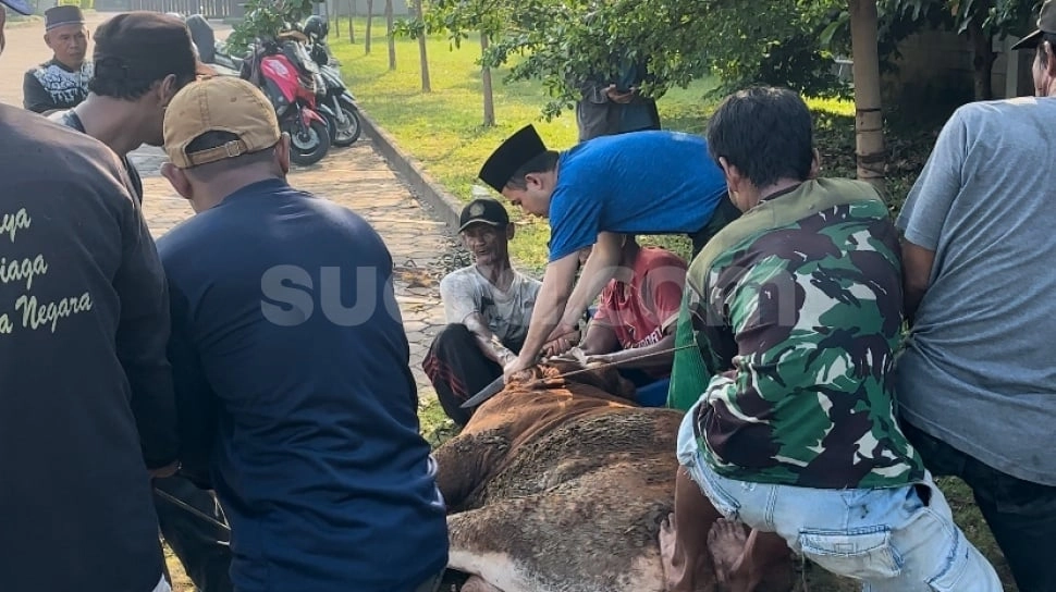 Bagi Ribuan Paket Daging, Ini Alasan Crazy Rich Cilegon Sembelih Sendiri Hewan Kurbannya