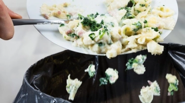 Kurangi Sampah Makanan, Bikin Lubang Biopori di Rumah Jadi Solusi: Begini Caranya