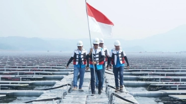 PLN Jadi Perusahaan Utilitas Terbaik se-Kawasan Versi Fortune 500 Asia Tenggara