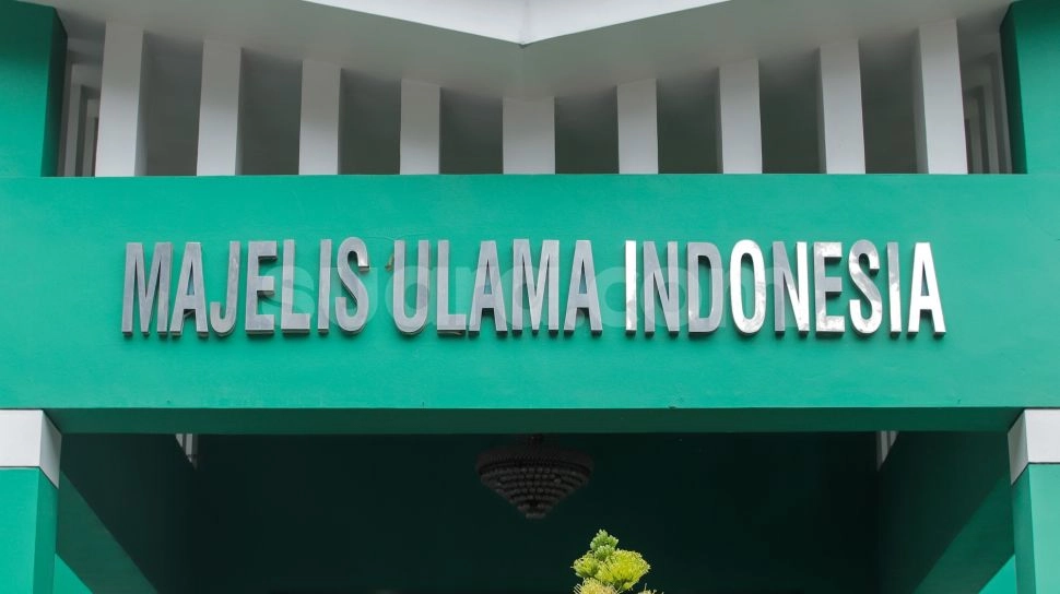 Minta Tayangan Pertandingan UFC Dihentikan, MUI: Haram!