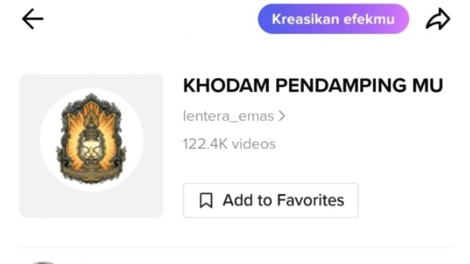 3 Filter TikTok Cek Khodam hingga Pendamping, Tinggal Pilih yang Mana