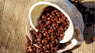 Kopi Produksi UMKM Asal NTT Maju ke Festival Dunia di Copenhagen