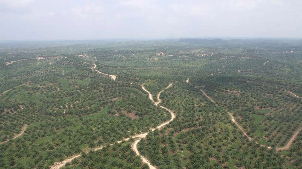 Poin Perundingan Perdagangan Indonesia-Eurasia Segera Diselesaikan, Buka Peluang Lebih Luas
