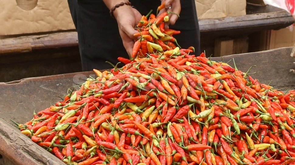 Waspada! Stok Cabai Merah Menipis, Harga Berpotensi Meroket