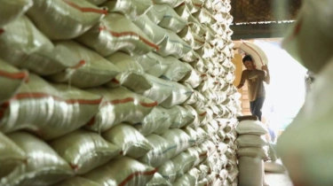Perusahaan Asal Vietnam Angkat Bicara soal Dugaan Mark Up Impor Beras