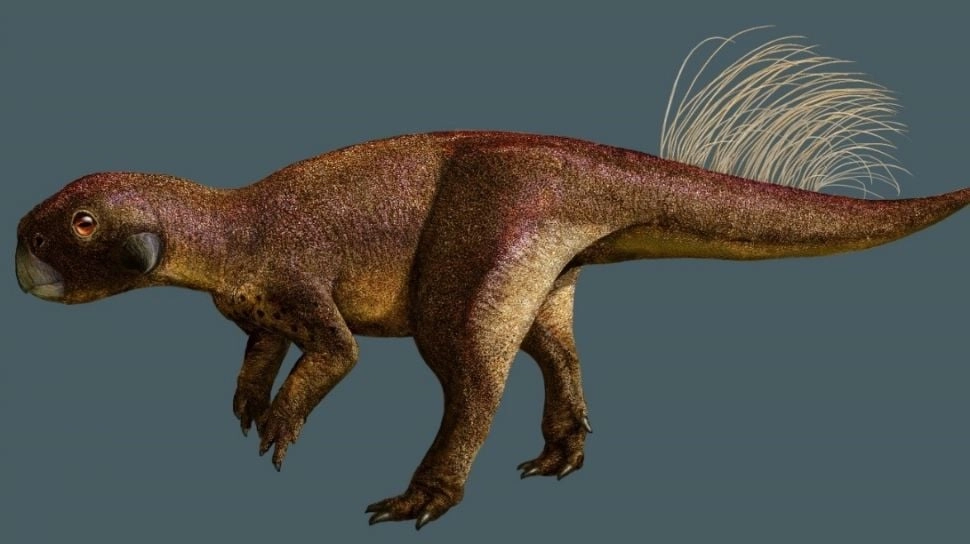 Lebih Besar dari T-Rex? Fosil Dinosaurus Kolosal Ditemukan di Queensland!