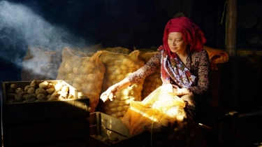 Ini Jurus BRI Kelola NPL UMKM Tetap Rendah di Bawah Industri Perbankan Nasional