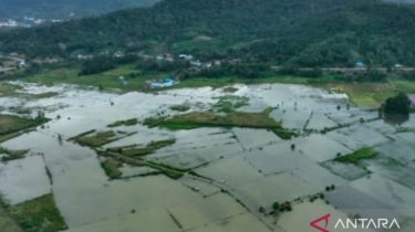 Banjir Bandang Dahsyat Landa Zixing China Tengah: 30 Tewas, 35 Orang Hilang