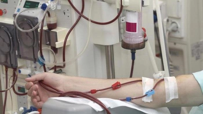 Infeksi Saluran Kemih yang Tidak Ditangani Bisa Berujung Sakit Ginjal hingga Cuci Darah