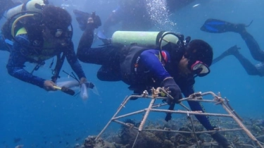Kisah Para Penjaga Surga Bawah Laut di Pulau Bunaken: Konservasi dan Tantangan Eksploitasi