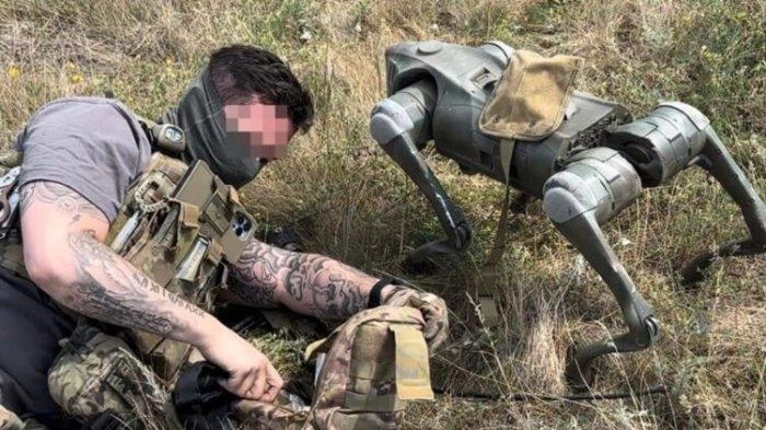 Tanpa Disadari, Pasukan Rusia Diintai 30-an Makhluk Mirip Anjing di Medan Perang Donbass