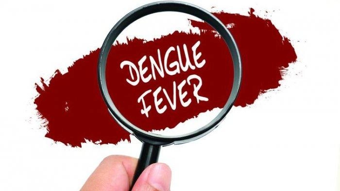 Awas, Nias Selatan Darurat Wabah Demam Berdarah Dengue dan Malaria, Red Zone 7 Kecamatan