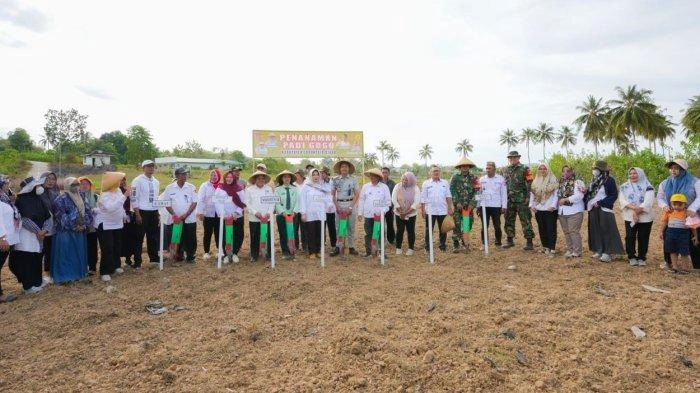 Bareng Pemda Gorontalo Utara, Kementan Wujudkan Swasembada Pangan Lewat Perluasan Area Tanam