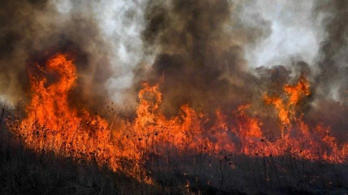 Kota Katzrin Hujan Roket, Israel Kehilangan Wilayah Utara yang Diduduki Karena Serangan Hizbullah