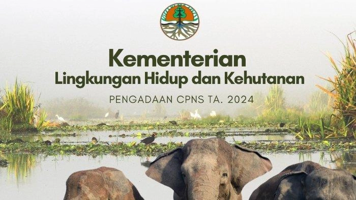 KLHK Buka 3.066 Formasi CPNS 2024 untuk Lulusan SMA, SMK, D3 hingga S2, Simak Rentang Gajinya