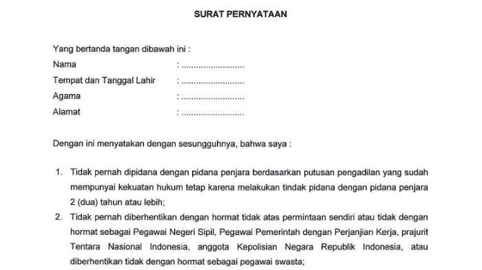 3 Contoh Surat Pernyataan 5 Poin CPNS 2024, Lengkap dengan Link Download